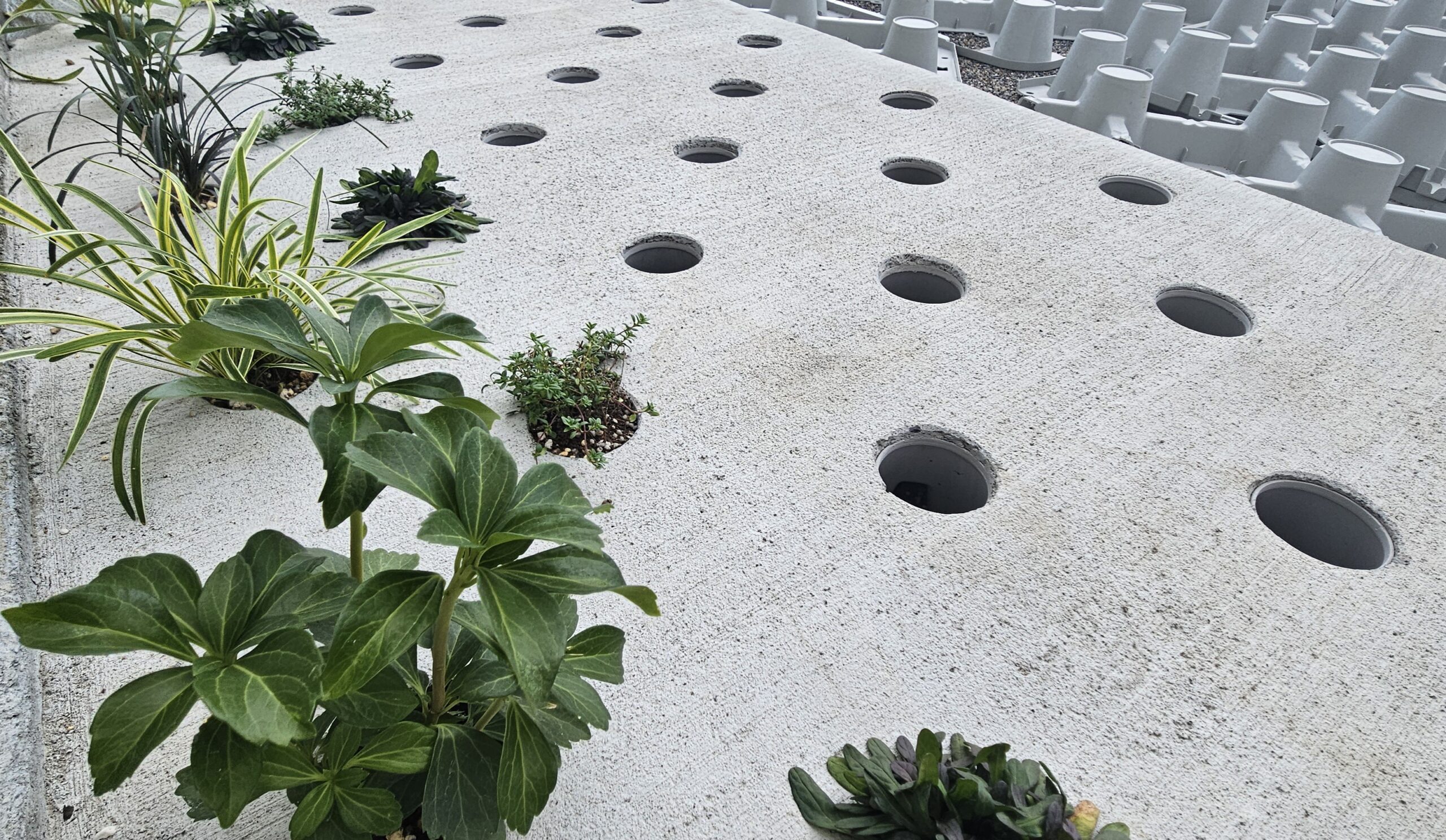 グリーンインフラ・レインガーデンにDotconは最適！