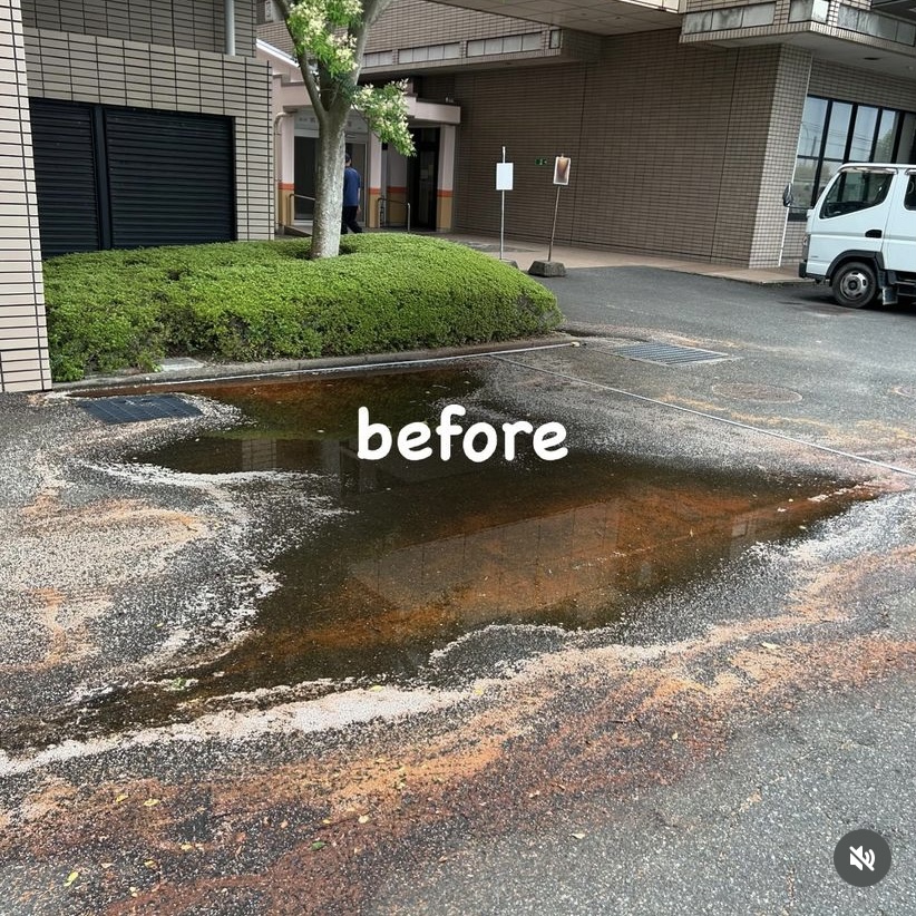 画像：<?= wp_strip_all_tags($cases_ba_beforecap);?>