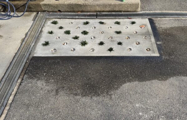 画像：兵庫県｜玄関