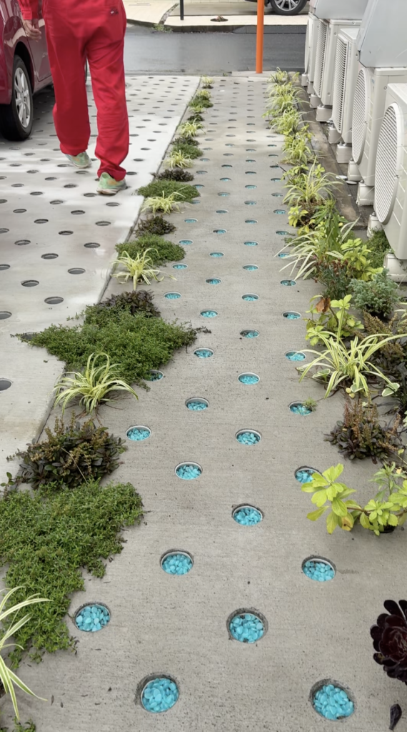 🪴Dotcon × ガーデニング、始動しました！