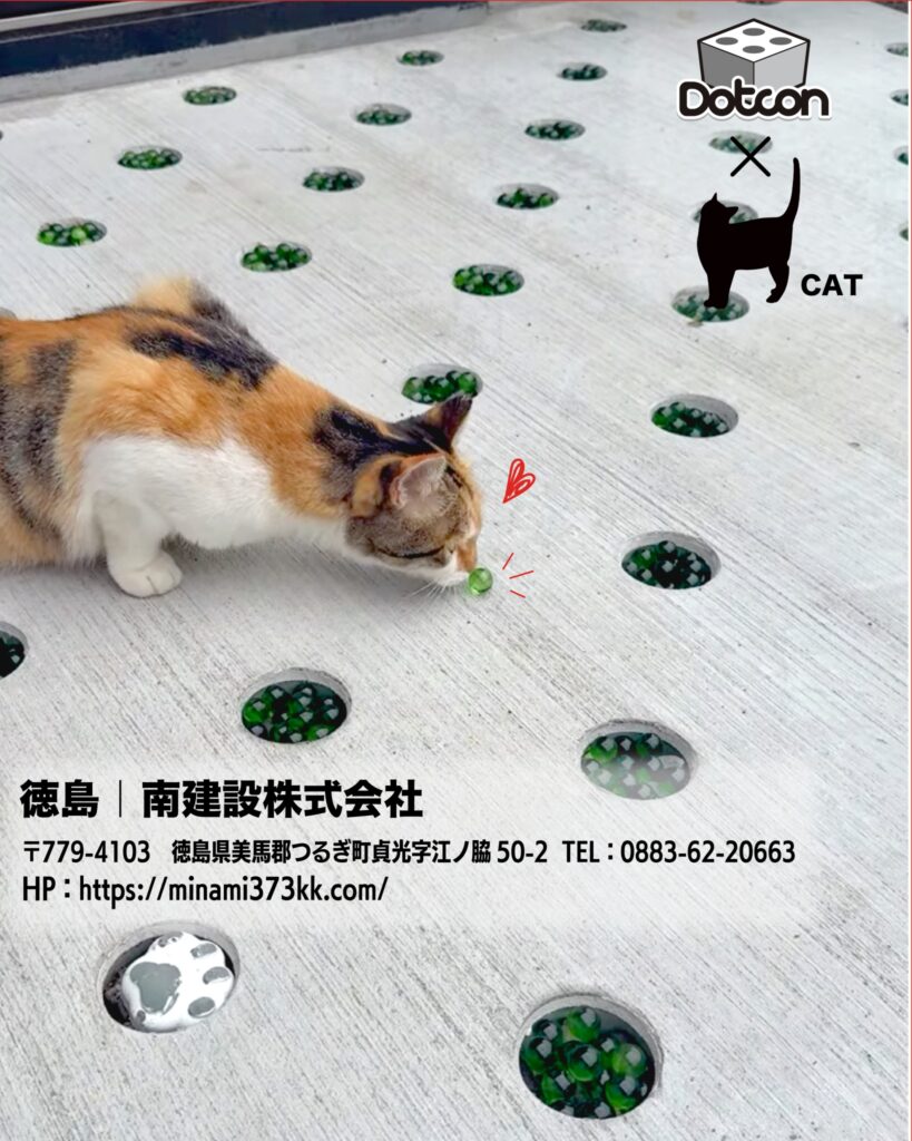 Dotcon×ネコ🐈